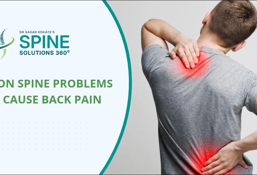 Common spine issues